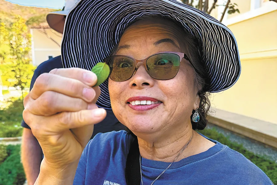 Woman in striped hat and glasses holds up a small green leaf while smiling.