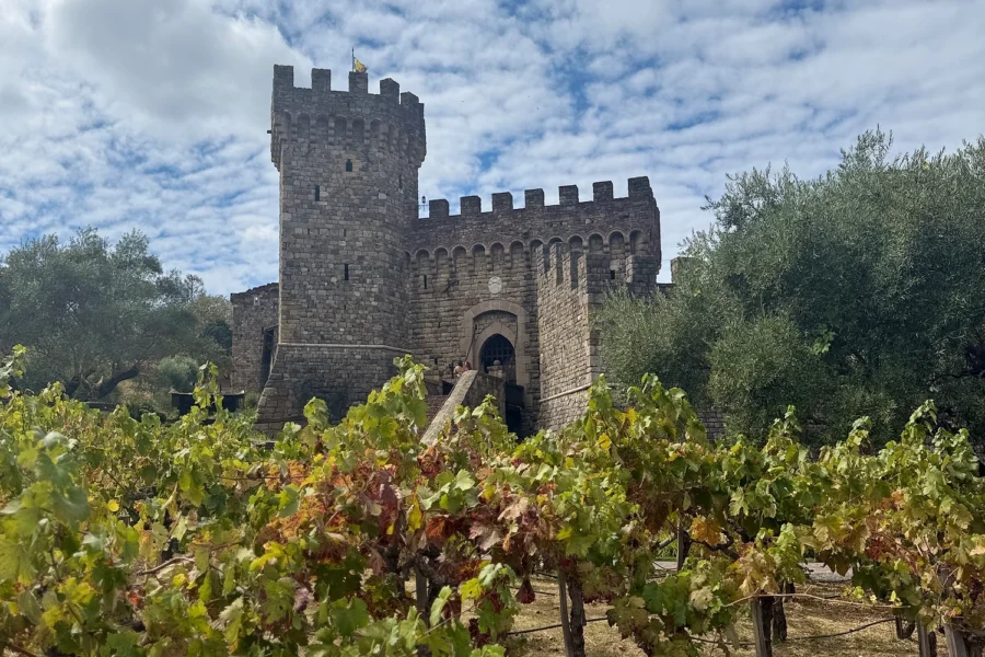 Stone castle with crenellated tower stands behind rows of grapevines under cloudy sky.